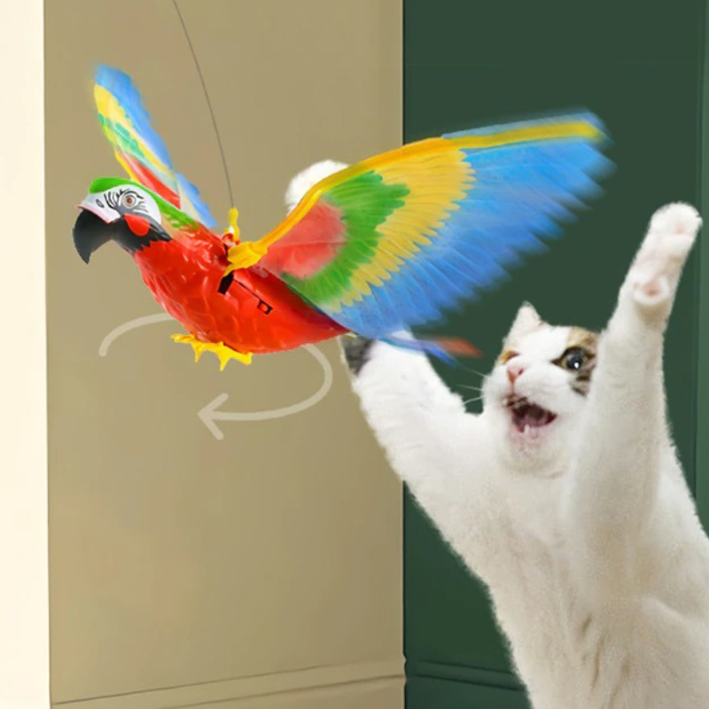 Fly™ | Vliegende vogel katten speelgoed